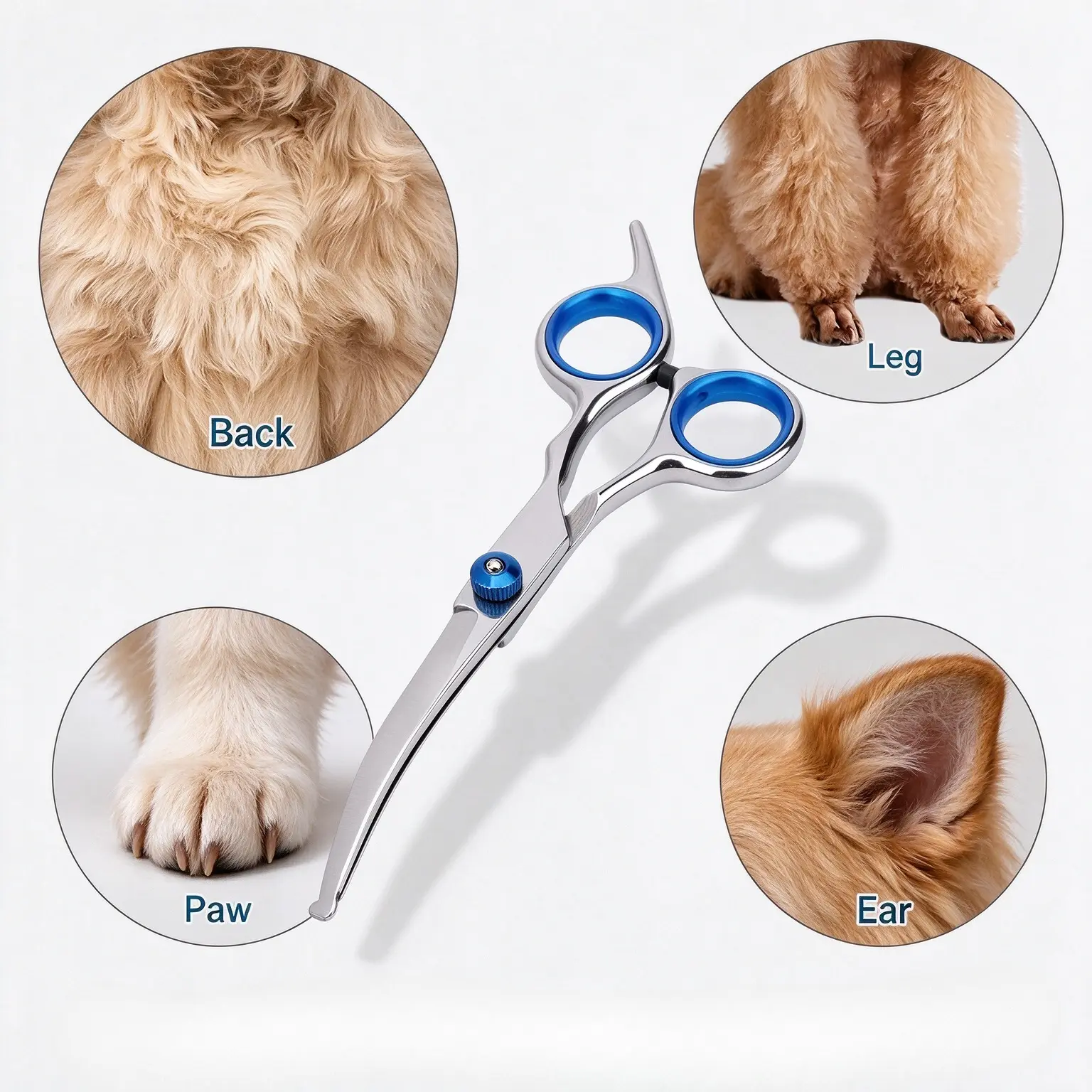 Round Tip Pet Grooming Scissors, Precision Hair Trimming Shears, Professional Grooming Tool For Dogs And Cats, Safe Handle Design, At-Home Pet Coat Styling & Daily Fur Care