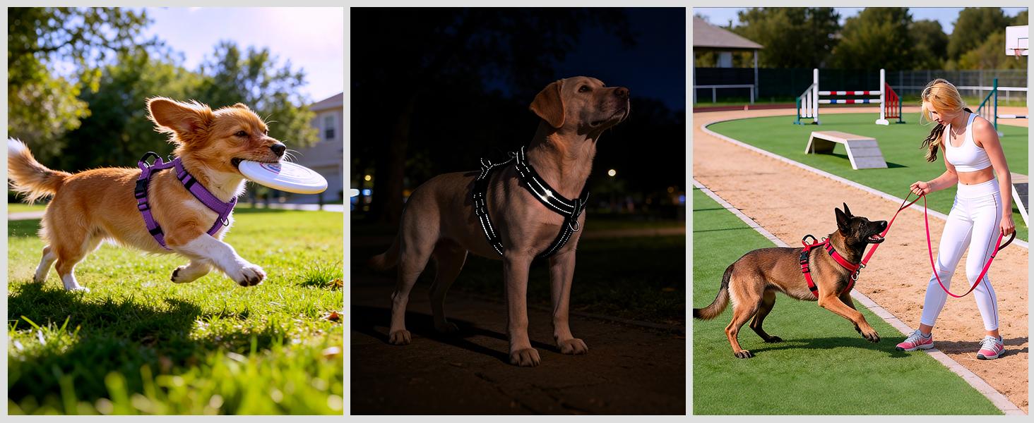 No Pull Dog Harness with Handle, Soft Mesh Padded Adjustable for Small Medium Large Dogs| Reflective Easy Walk Harness with Front Clip for Training, Running & Outdoor (Black, L)