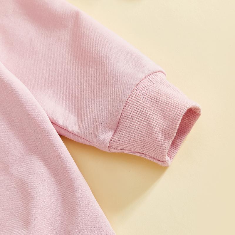 Babamoon Toddler Baby Girl Boy Easter Outfits Set Rabbit Long Sleeve Crew Neck Fuzzy Bunny Tail Embroidery Sweatshirt and Pants Clothing Set 0-3T