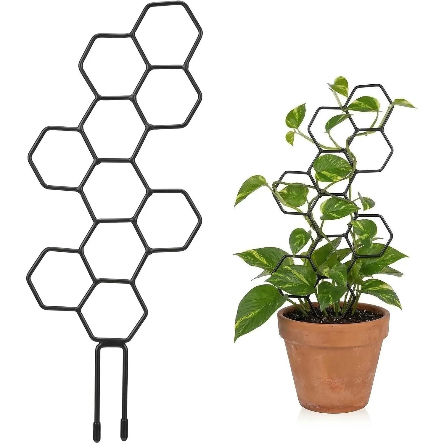 Trellis Indoor, Trellis for Climbing ,  Planters for Planting Houseplant  Wall,  Pothos Planting Climber Support for Flower Indoor  Supports(Black)