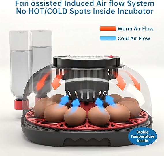 Egg Incubator for Hatching Chicks, Automatic Egg Turner Holds 12 Eggs, Smart Incubator 360 °   Clear Window with Temperature Display Egg Candler for Small Poultry Chickens Ducks Quails Eggs
