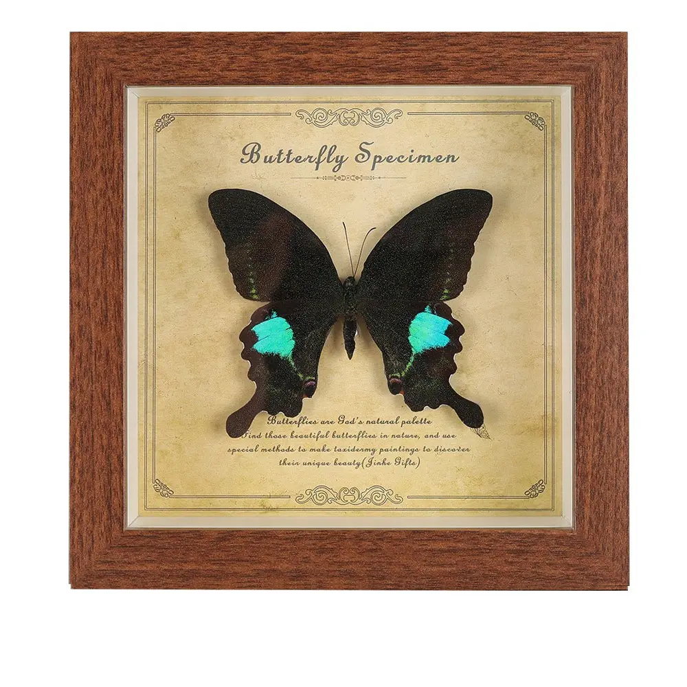 Vintage European Papilio Paris Butterfly Specimen Frame Desk Deocr, Real Taxidermy Art | DIY 3D Shadow Box Wall Decor | Unique Birthday Gift for Women & Nature Lovers | Luxury Home Office Ornament