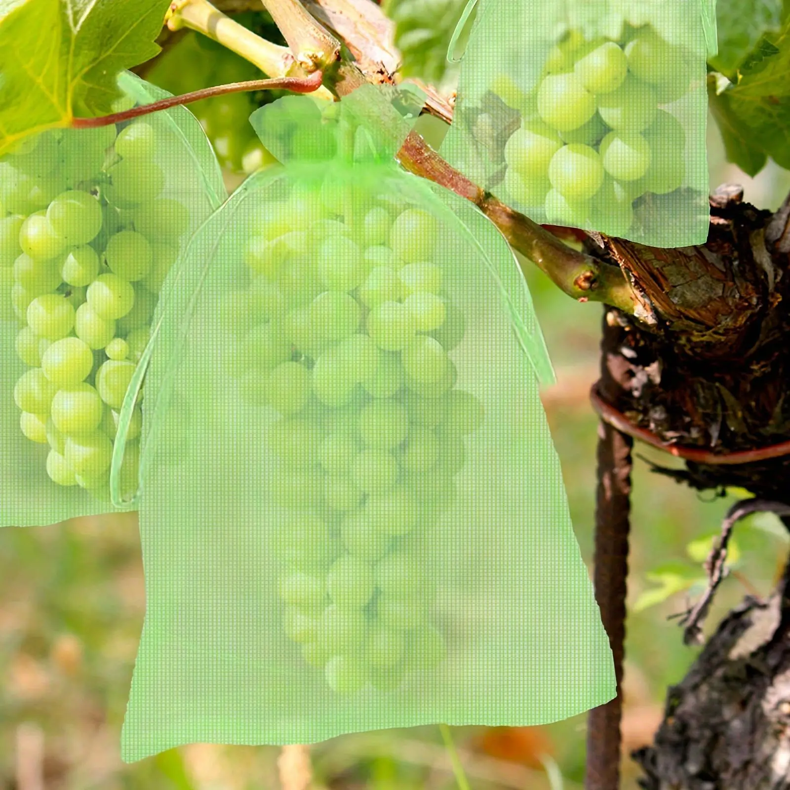 10pcs Fruit Protection Netting Bags For Fruit Trees, Garden Mesh Barrier Bags Plant Protector To Protect Plants From Pest Birds Squirrels, Fruit Cover Mesh Bag With Drawstring