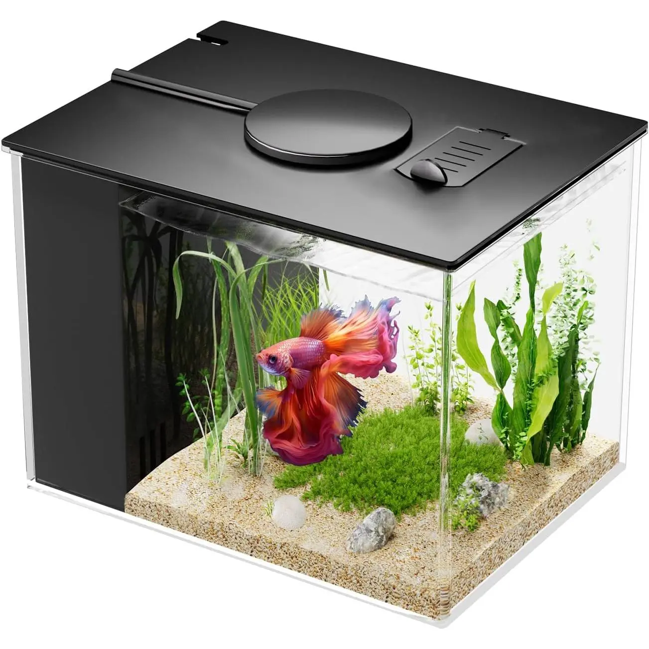 Fish Tank 1 Gal (3.7L) Acrylic Nano Aquarium Kit Black With Water Filter Pump & LED Light, Ideal for Small Fish, Shrimp and Plants