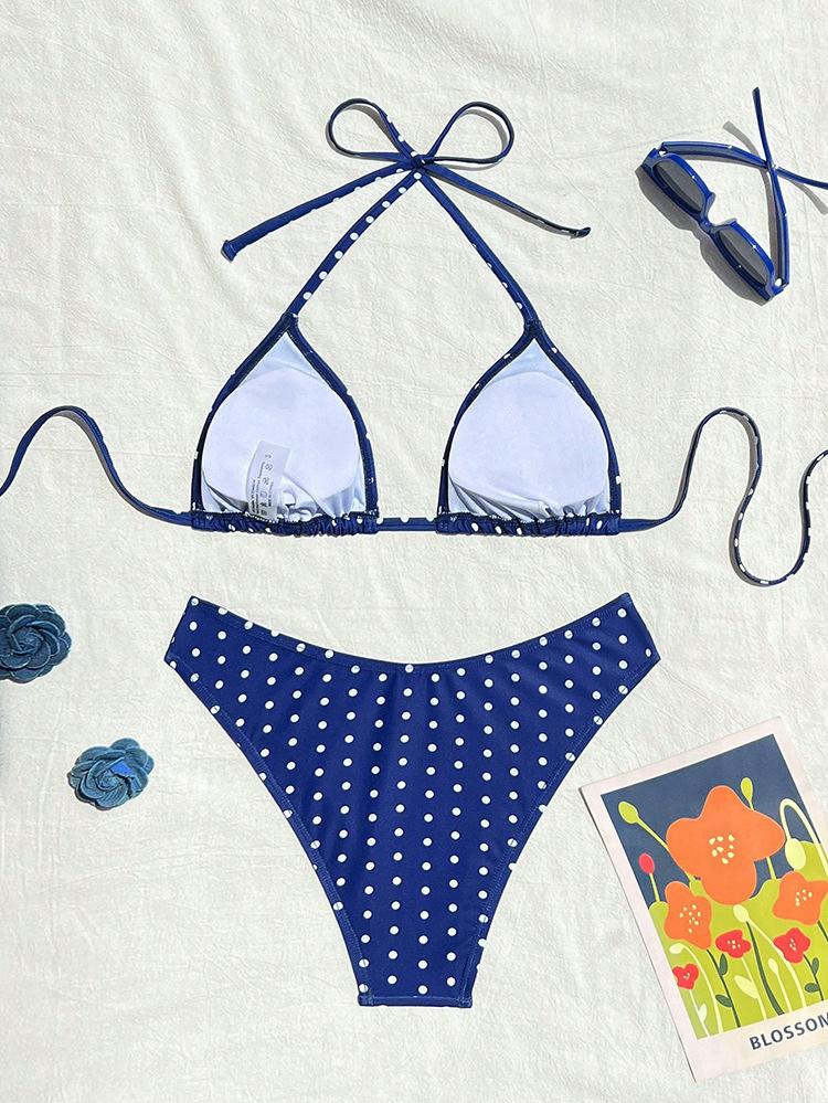 2026 new polka dot bikini sexy split swimsuit women's beach hot spring swimsuit