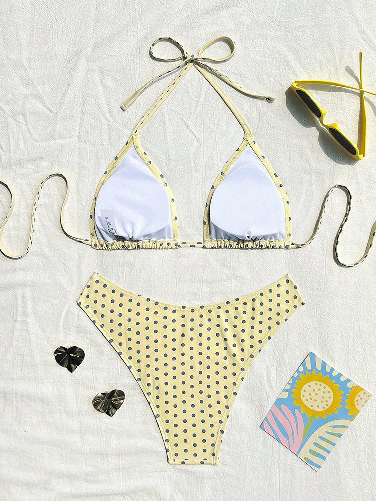 2026 new polka dot bikini sexy split swimsuit women's beach hot spring swimsuit