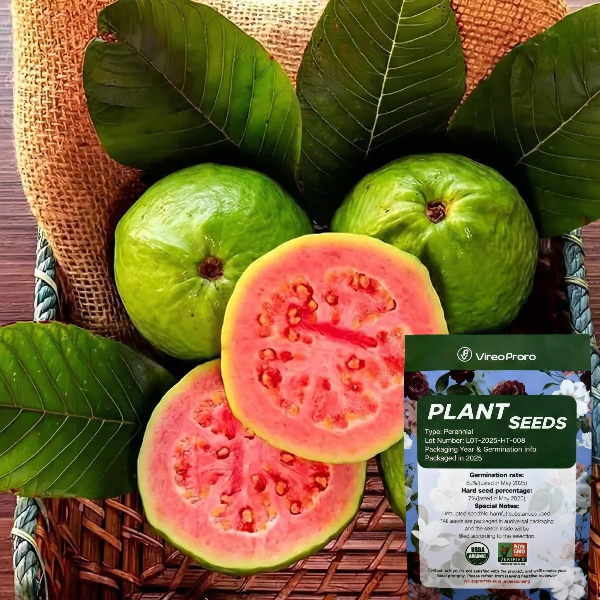 Easy-to-Cultivate Fruit Tree Seeds: Guava Seeds Fit for Outdoor Gardens, Greenhouses & Potted Plants, Great for Balcony Fruit Growing.