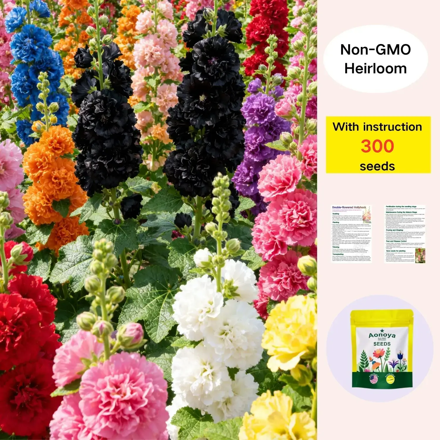 [Promise: Germinate or Refund]300pcs Double Hollyhock Seeds 'Radiant Rose - Mixed Colors, Non-GMO Heirloom, Hardy Biennial for Vibrant & Tall Blooms Plant Garden Outdoor Flower Pot Decorative Tulip,Add vibrant summer blooms to your backyard