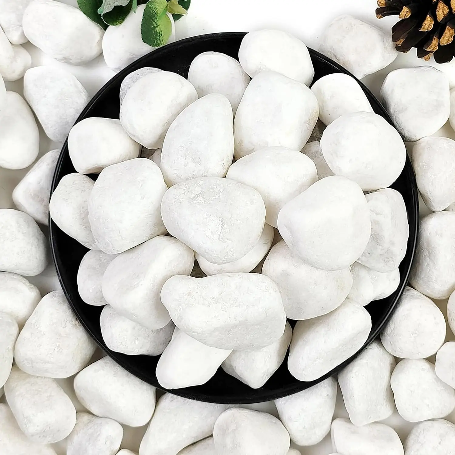 5lb Natural Look Rounded White Pebbles, 1-2 in Indoor Plant Decorative Stones, Ideal for Fish Tank, Home Decor, Garden Landscaping, Rounded Pebbles, River Rocks
