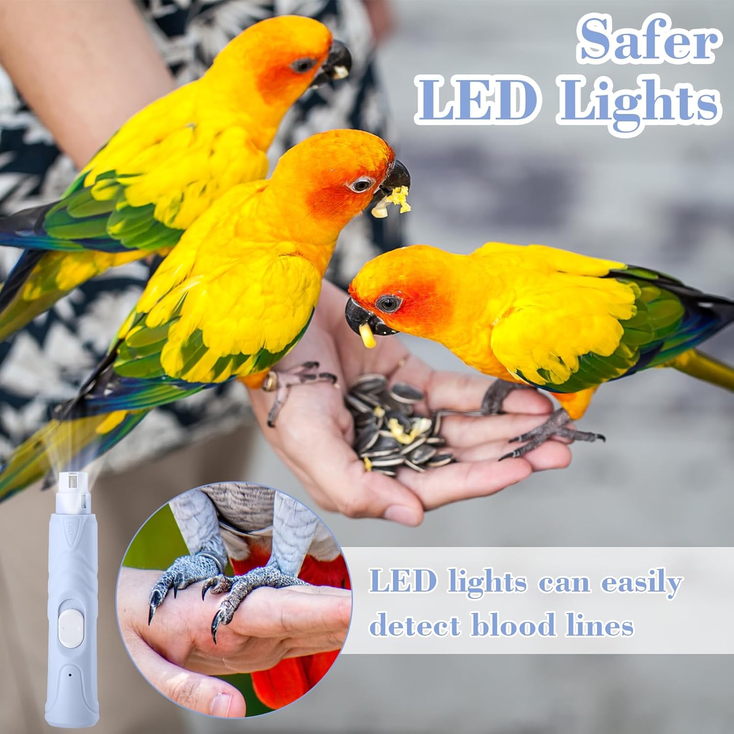 2 Pcs Bird Nail Grinder with Bird Nail Clipper Bird Nail Trimmer Bird Nail File with LED Lamp Grooming Tool for Bird Parrot Budgerigars Parakeets Myna Conure Parakeets Finches Lovebirds 2 Pcs Bird Nail Grinder with Bird Nail Clipper Bird Nail Trimmer Bird Nail File with LED Lamp Grooming Tool for Bird Parrot Budgerigars Parakeets Myna Conure Parakeets Finches Lovebirds