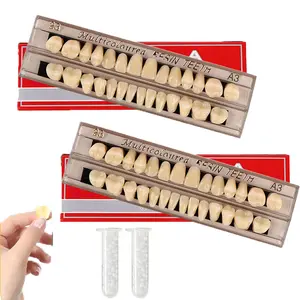 56 PCS 23 Shade A3 Complete Acrylic Resin Denture Teeth, 2 Sets Full Upper and Lower Synthetic Polymer False Teeth, Professional Dental Prosthesis Materials for Tooth Replacement, DIY Craft Making and Halloween Horror Props