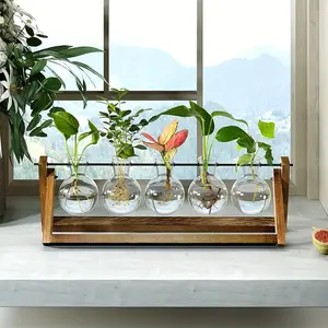 Wooden Frame Five-Hole Glass Hydroponic Vase, Home Living Room Plant Pot, Indoor Garden Water Culture Planter, Decorative Flower Container