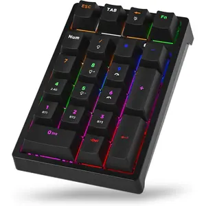 Numeric Keyboard, Mechanical Number Pad with RGB LED Backlit 21 Key Numpad  2.4G/ 5.0/Wired USB-C RGB Backlit Numeric Keypad Rechargeable Numeric Keypad for Win/