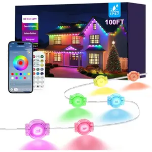 100FT Smart Permanent Outdoor Lights, RGBIC Waterproof Eaves Lights with App Control, Color Changing Roofline LED Lights for House, Garden, Christmas & Holiday Decor