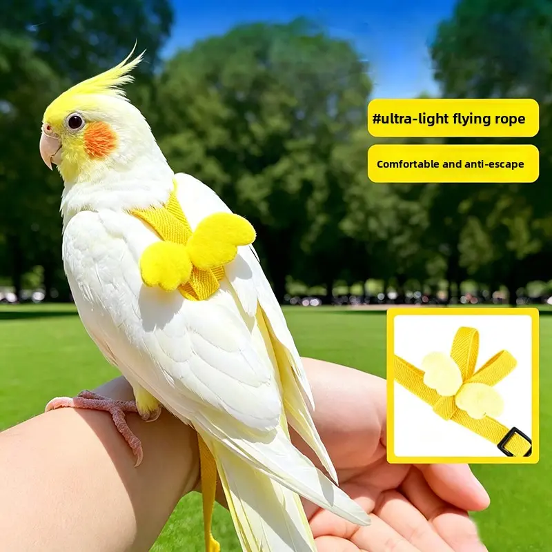 Parrot Harness & Leash Set, Ultra-Lightweight Bird Vest for Outdoor Flying, Adjustable Escape-Proof Training Leash for Cockatiels Conures Budgies