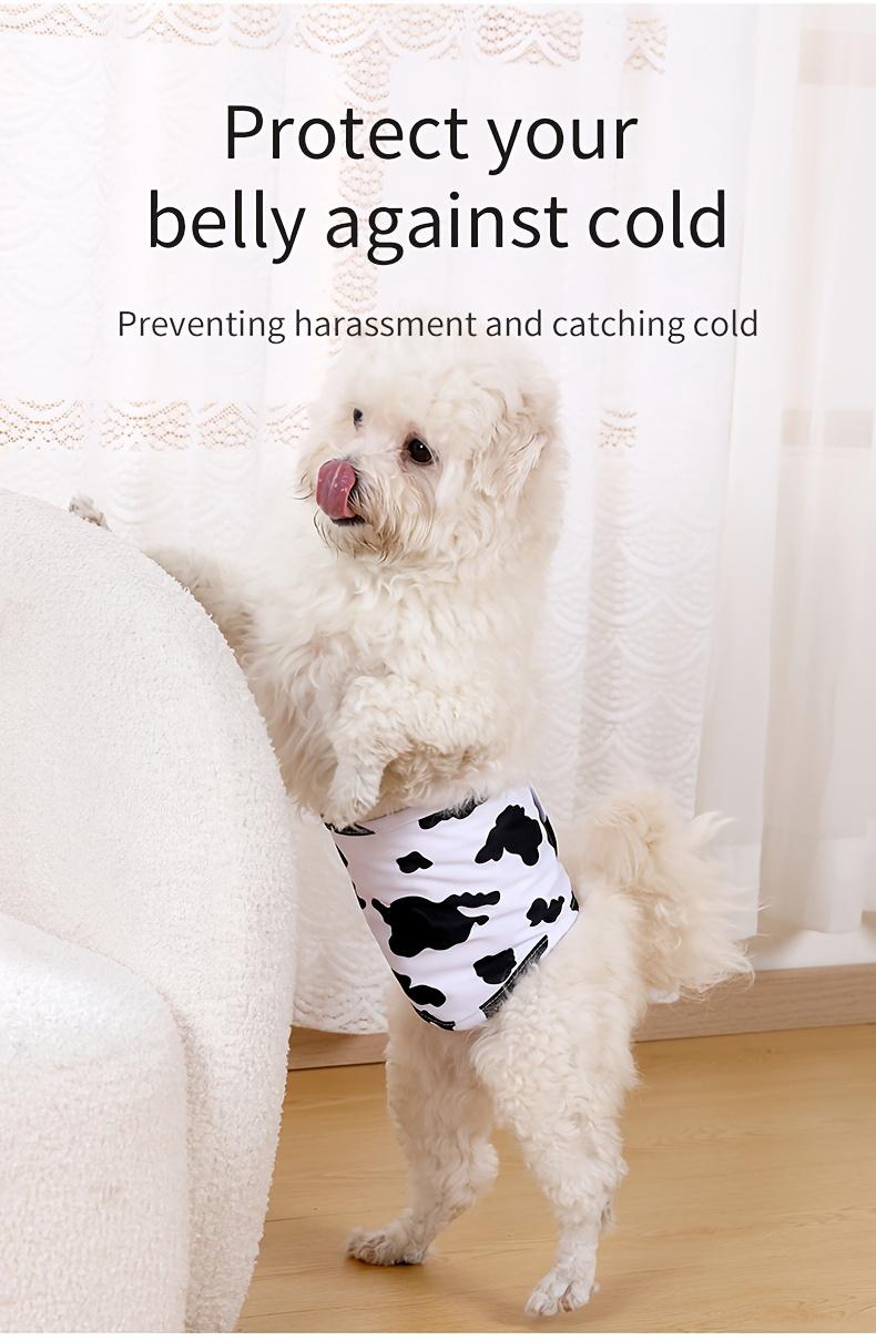 2pcs Elastic Male Dog Belly Bands - Reusable Cloth Underwear - Cute Cartoon Washable Dog Diapers for Potty Training & Anti-Lifting