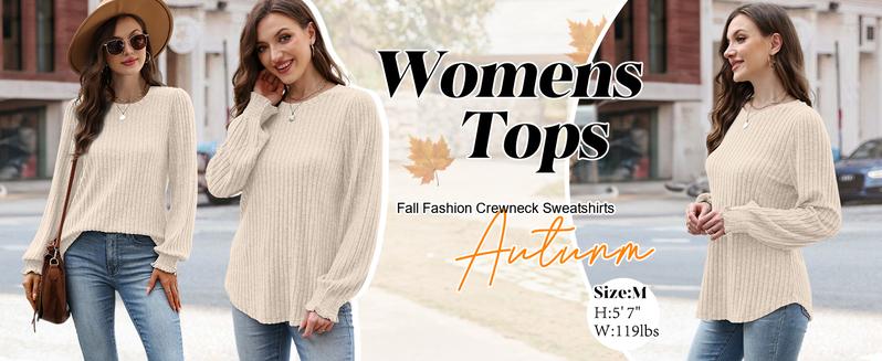WIHOLL Womens Tops Dressy Casual Long Sleeve Shirts for Women Business Casual Outfits Lightweight Fall Sweaters Warm