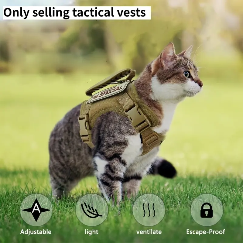 Cat Tactical Vests - Pet Chest Harness Backwear Style - Small Dog Cat Training Suit - Miniature Dog Vest - Frenchie Harness