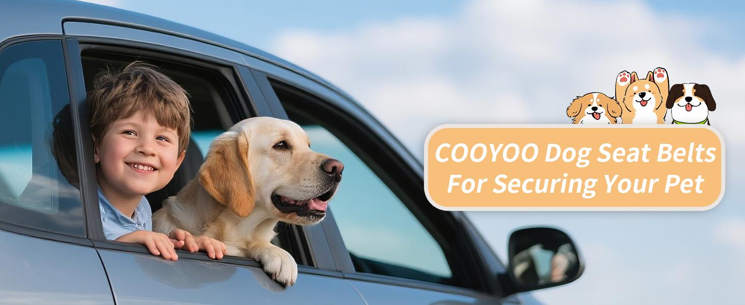 Dog Seat Belt for Car – Adjustable Safety Harness with Elastic Cushioning, Anti-Tangle Seatbelt Leash, Reinforced Metal Buckle for Small & Medium Dogs (Black)