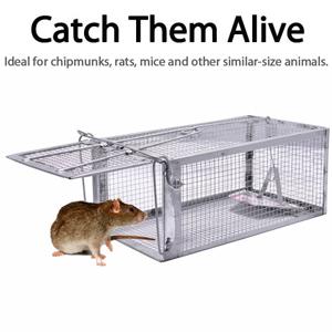 Quality Rat Trap, Humane Live Animal Mouse Cage Traps, Catch and Release Mice, Rats,Chipmunk, Pests, Rodents and Similar Sized Pests for Indoor and Outdoor, 10.6 X 5.63 X 4.33 Inches, One-Door