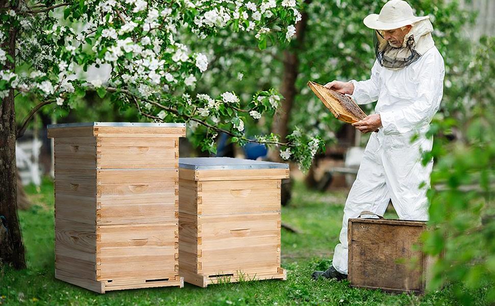 10 Frame Deep Beehive Box,Langstoth Deep Brood Bee Hive Box, Include Beehive Frames and Waxed Foundations