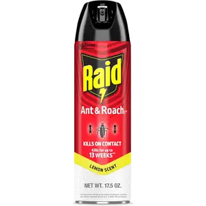 Raid Ant & Roach Killer Spray For Listed Bugs, Keeps Killing for 13 Weeks, Lemon Scent, 17.5 oz