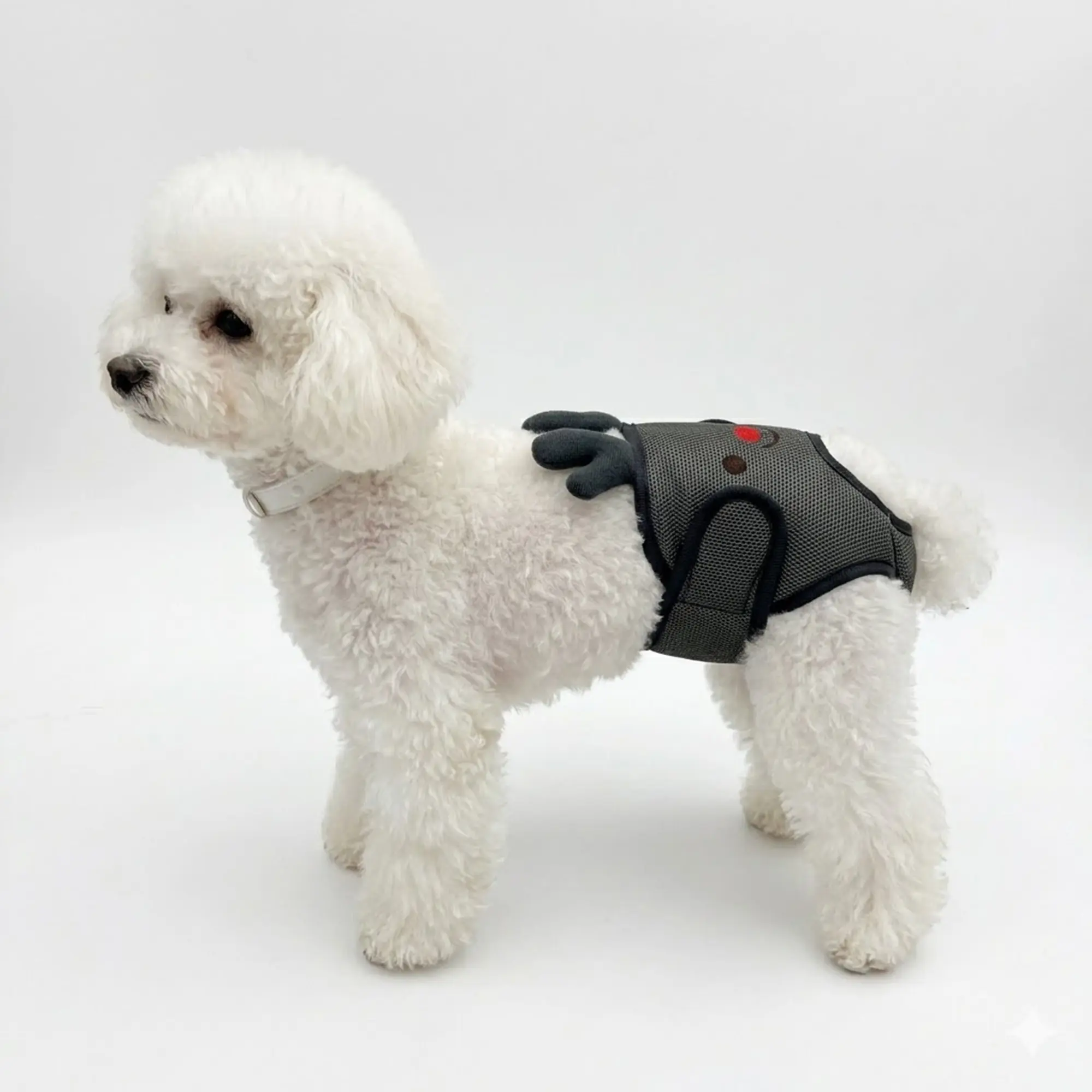 New Mother Dog Physiological Pants, Cute Pet Breathable Diaper, Outdoor Anti-Interference, Anti-Urine, Anti-Pregnancy Safety Pant