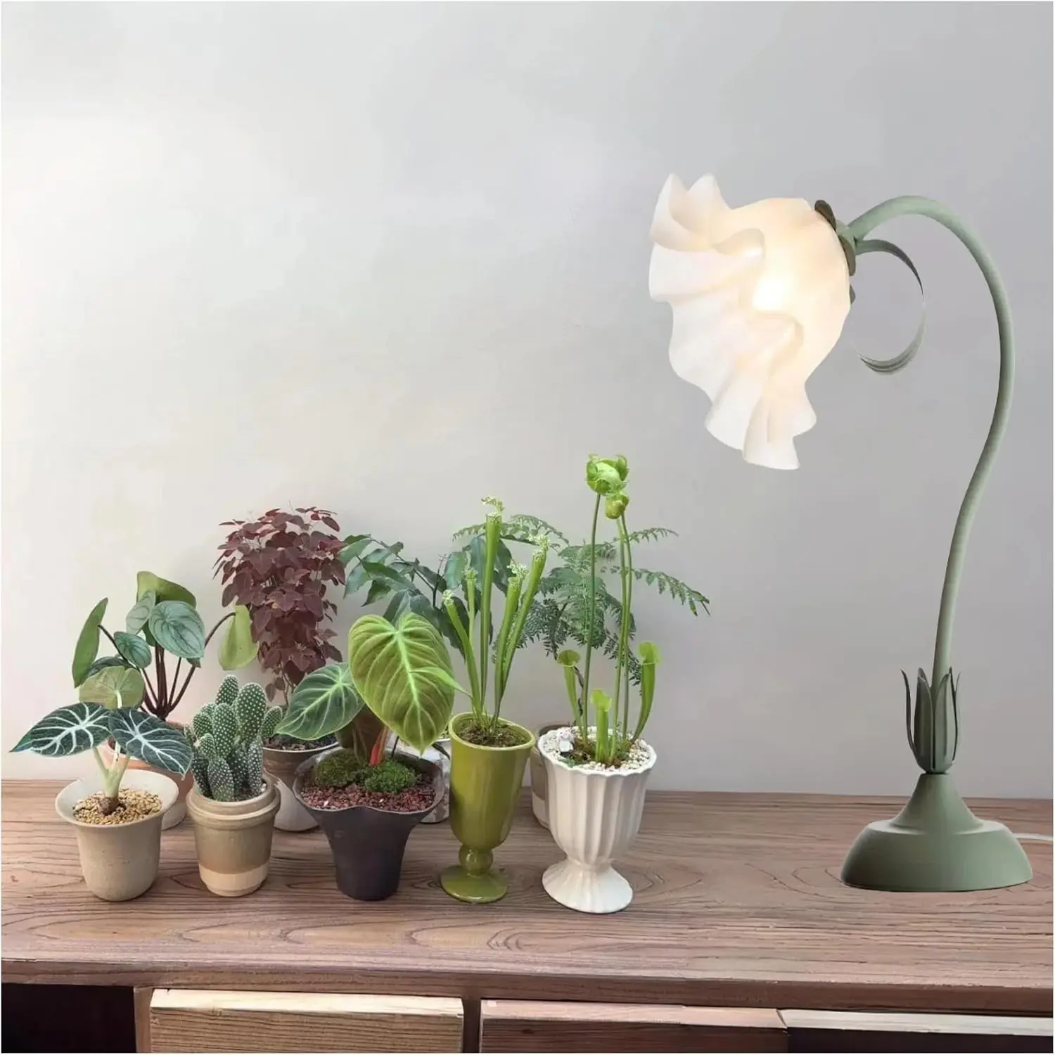 Table Top Grow Light for Indoor Plants – Decorative Desk Plant Light for Succulents Bonsai Cactus, Adjustable Desktop Grow Lights with Base, Cute Office Mini Grow Lamp