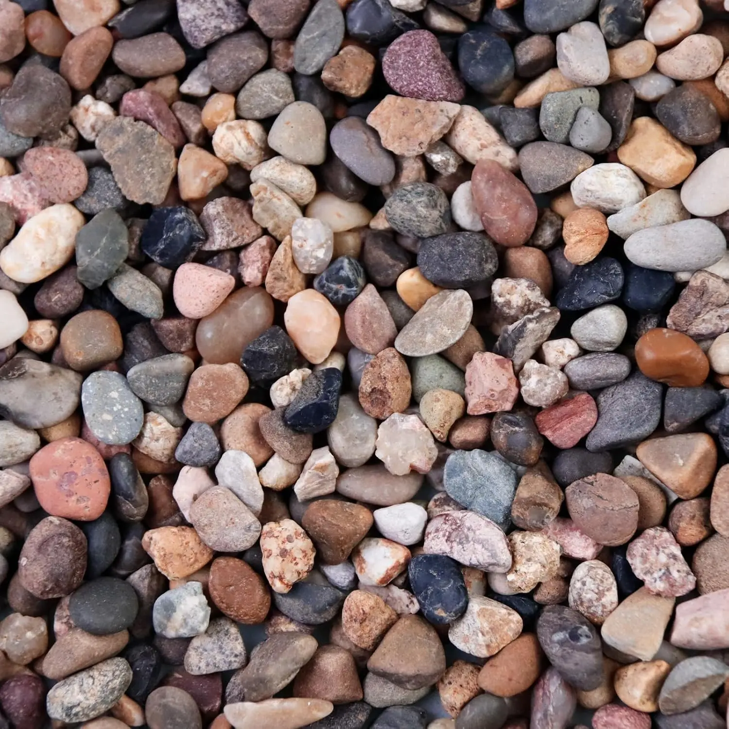 5lb Random Mix Color Silica Gravel Pebbles (1/5in) - Decorative Rocks for Succulents, Vases, Aquarium Top Dressing, Indoor-Outdoor Plant Accents