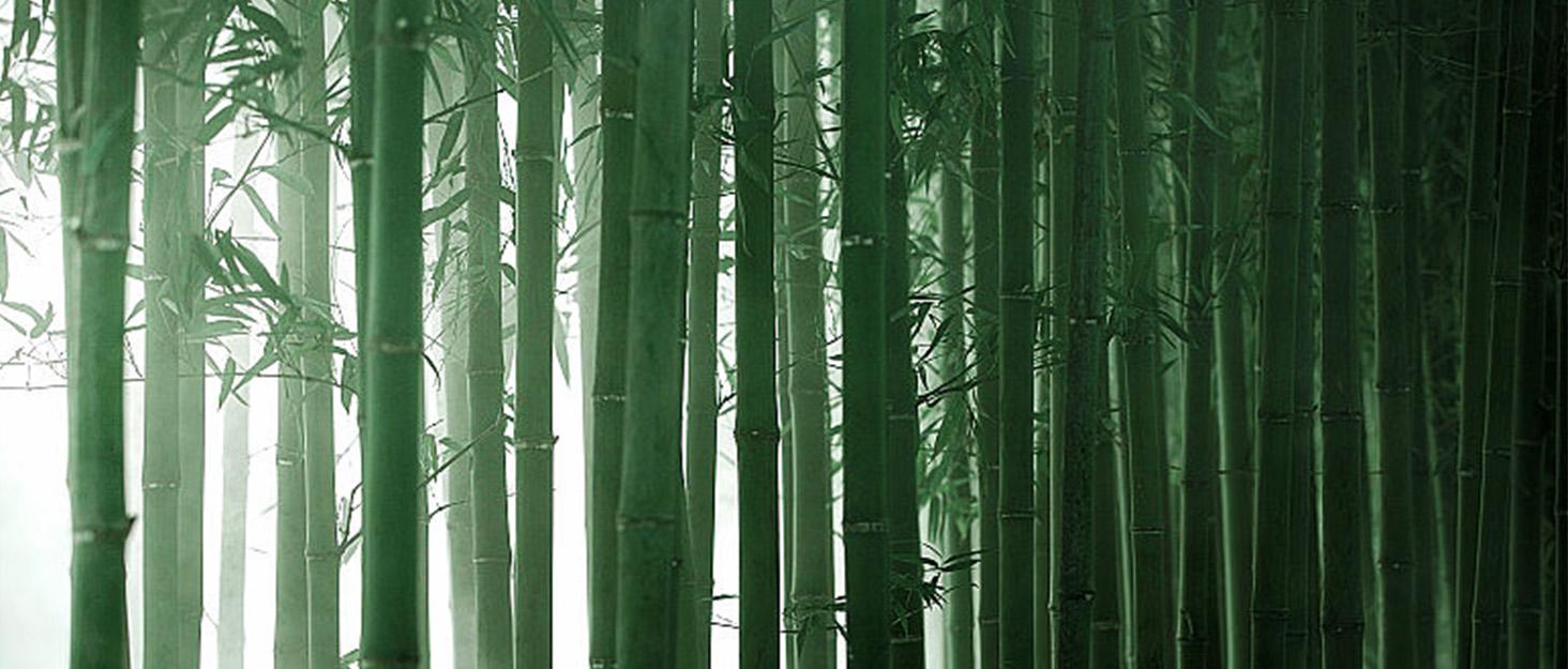 Bamboo Bed Tray Table with Foldable Legs, Breakfast in Bed Tray for Eating, Kitchen Serving Trays, Folding Table for Sofa, Beds, Eating, Working, Used As Laptop Desk Snack Trays, Brown