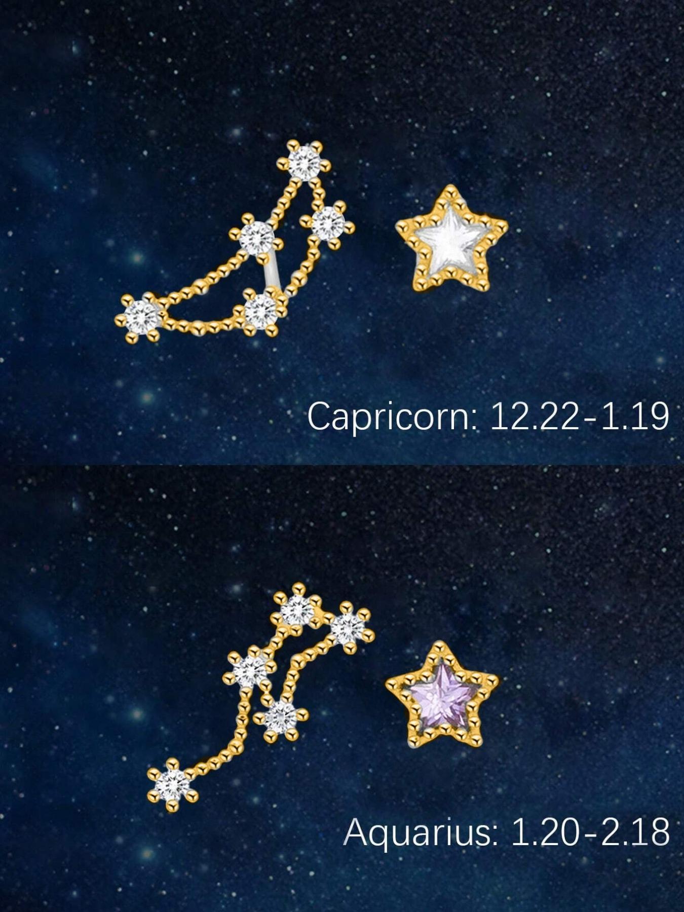 925 Sterling Silver Fashion Star & Twelve Constellation Design Stud Earrings, Asymmetric Earrings, Jewelry for Party, Daily Decor, Trendy All-match & Exquisite Jewelry for Birthday Gift