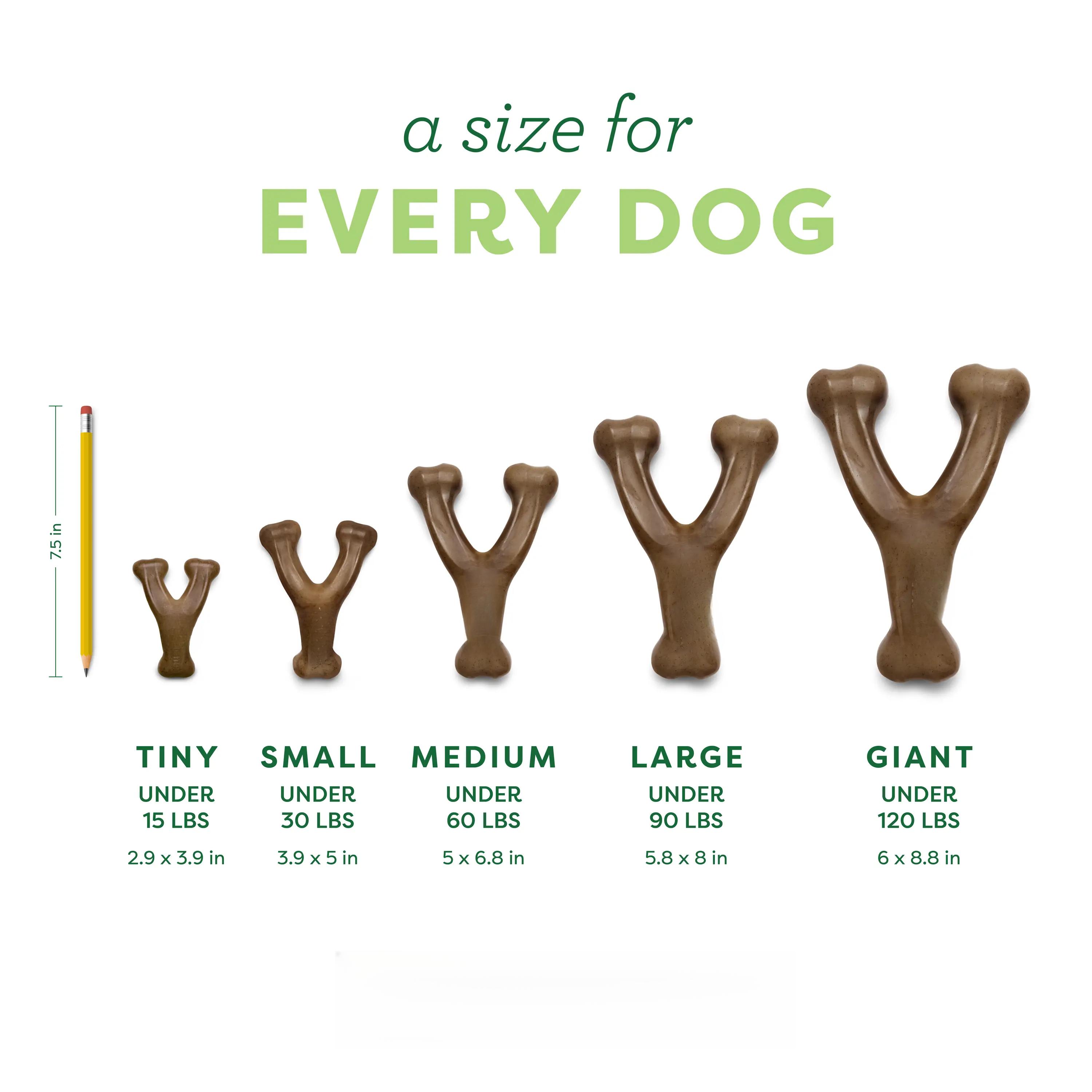 Wishbone |   Durable Dog Chew Toy |   Real Flavor & Long-Lasting Play