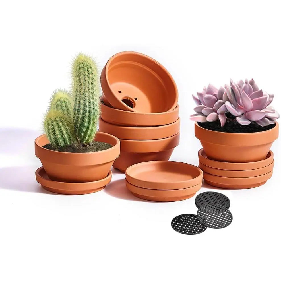 5 Inch Shallow Terracotta Pot for Succulent - 6 count Small Shallow  Pots with Drainage Hole and  Mesh Pad, Clay  Pottery Pots for Cactus Succulent and Other Indoor Outdoor