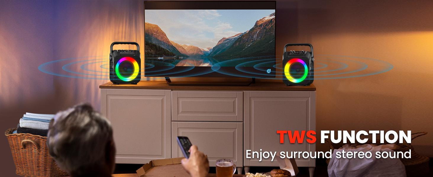 Karaoke Machine with Two Wireless Microphones, Portable Karaoke Machine for Adults & Kids, Portable Bluetooth Speaker with PA System, LED Lights, Supports TF Card/USB, AUX in, FM, USB,TWS (Black)-