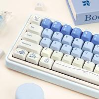 Blue White（FOA Profile Keycaps）