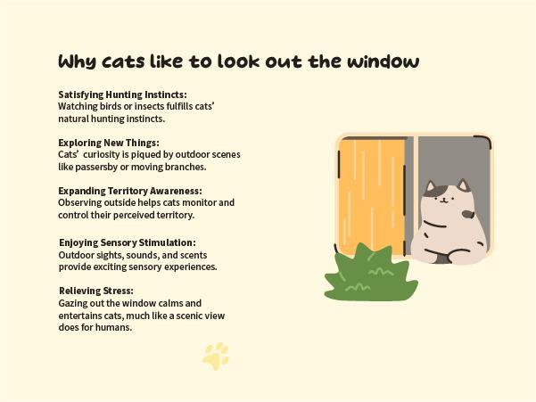 Cat Window Perchfor Large Cats,Glow in The Dark,Hammock with Hook Design Double-Sided Fabric Cover, Foldable Window Seat,Sunbathing