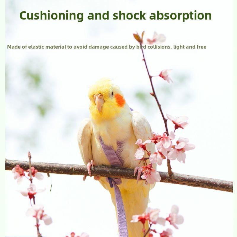 Adjustable Bird Harness Leash 2m Hand Rope Safe Escape Proof for Parrots Conures Cockatiels Outdoor Training Walking Pet Supplies Adjustable Bird Harness Leash 2m Hand Rope Safe Escape Proof for Parrots Conures Cockatiels Outdoor Training Walking Pet Supplies