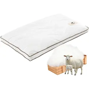 Soft   Pillow  Size, Flat & Thin  Pillow for Sleeping, Low-Loft Bed Pillows for  and  Sleepers, Breathable Soft  Cover (White)