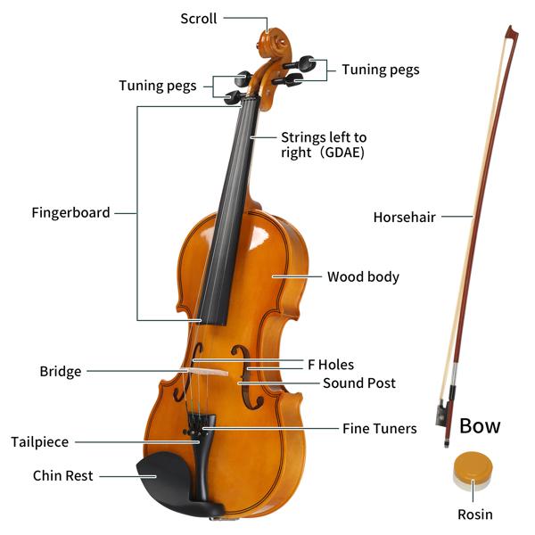 4/4 Violin Set for Adult Beginners and Students with Hard Case, Bow, Shoulder Rest, Rosin, Extra Strings, Pre Set Up Bridge