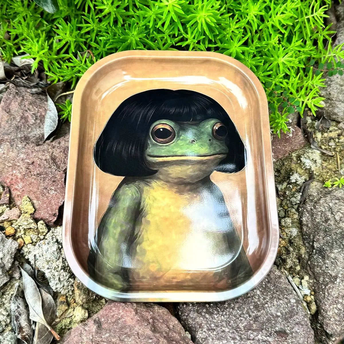 Vintage Bob Haircut Frog Printed Rounded Rectangular Metal Storage Tray, Household Desktop Vanity Organizer Plate for Jewelry, Necklaces, Lipsticks and Cosmetics, Entryway Storage Box for Keys, Coins and Small Sundries, Funny Niche Creative Decorative Tra