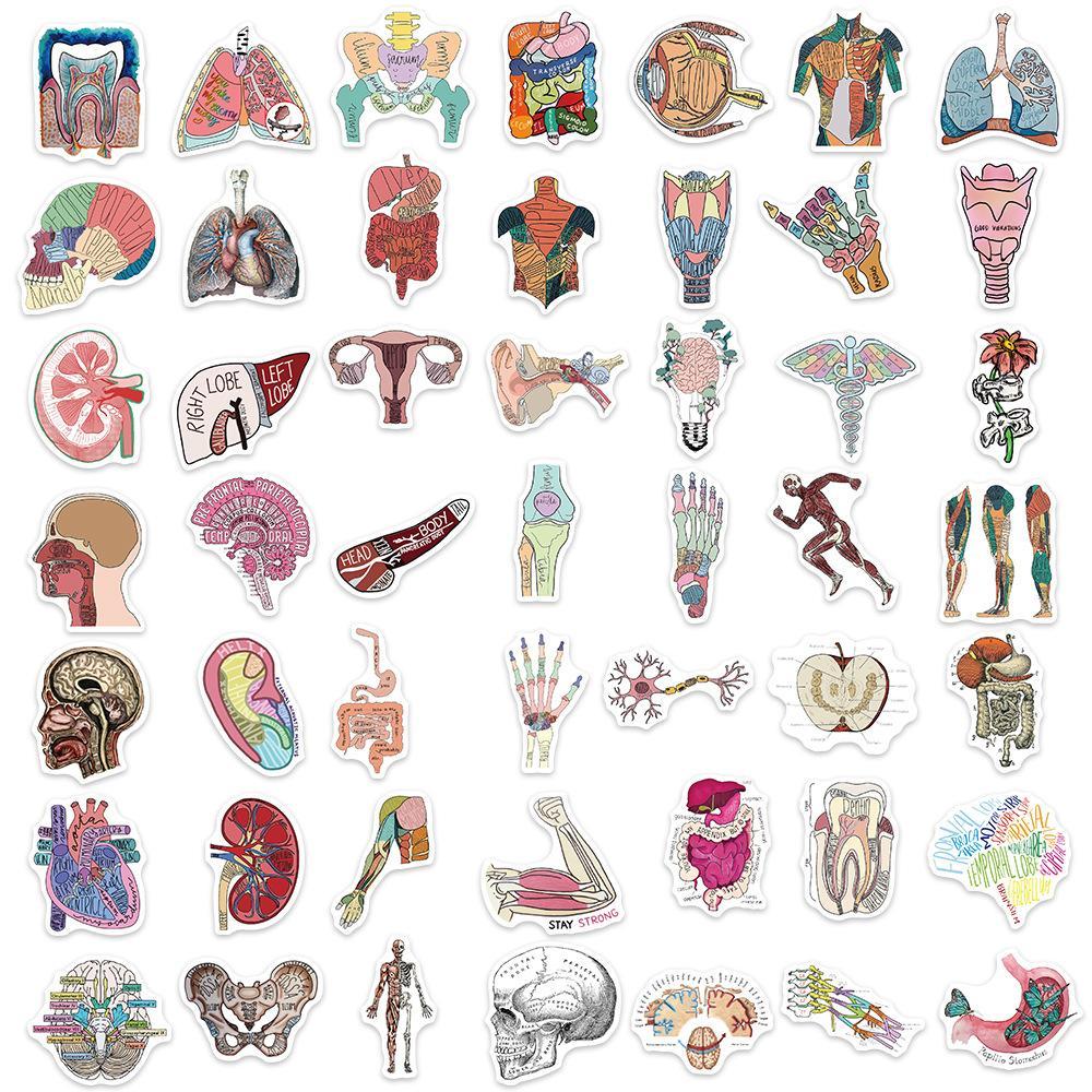 Organ Body Parts Series Graffiti Sticker, 50pcs/set Waterproof Self Adhesive Decor Paper, Decor Sticker for Gift Greeting Card Water Bottle Laptop Phone
