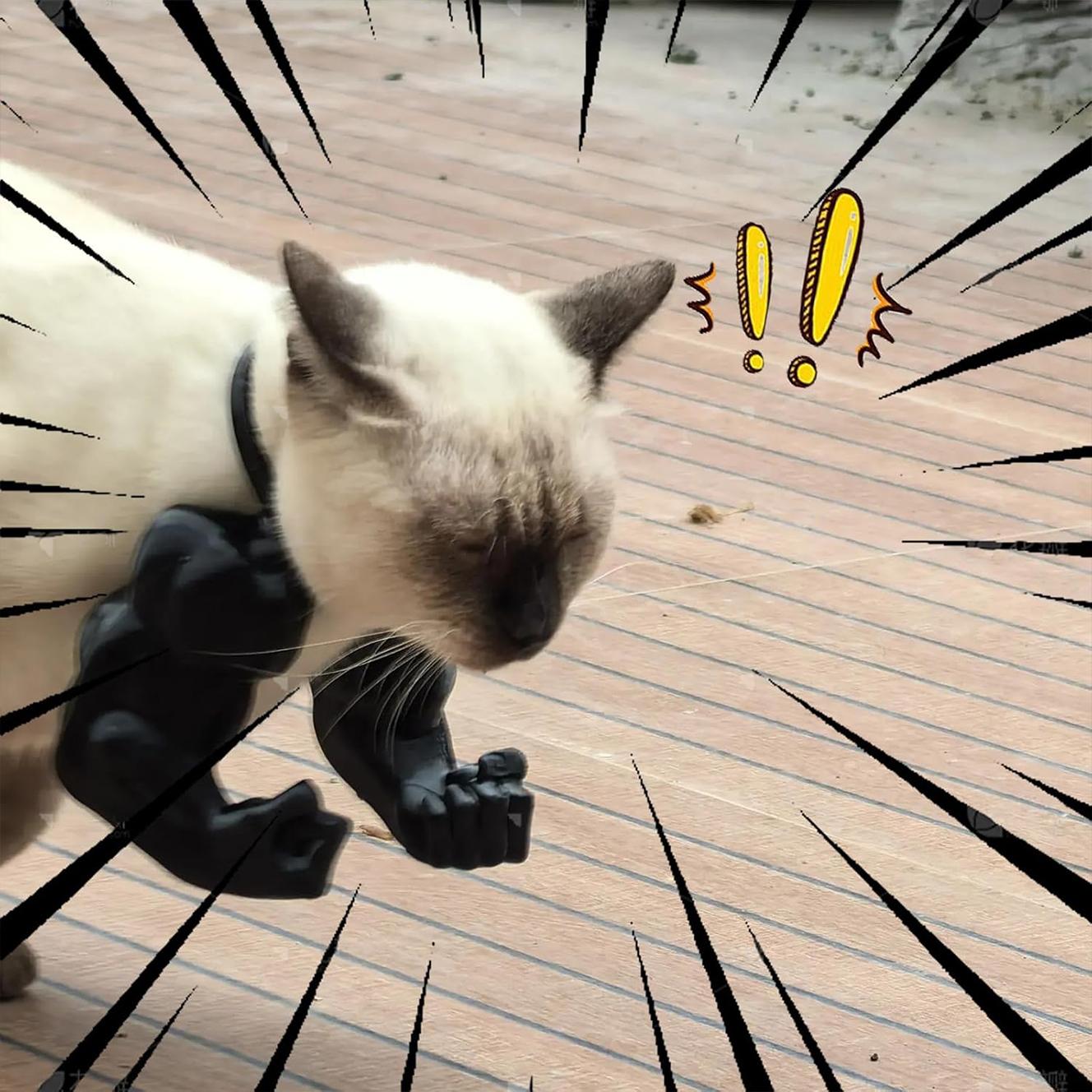 Viral Pick : Cat Toys 3D Printed Muscle Arms, Funny Printed Cat's Neck Arm with Muscle, Cats Costume Accessory for Pet Dress-Up, Cosplay, Christmas Parties & Photos