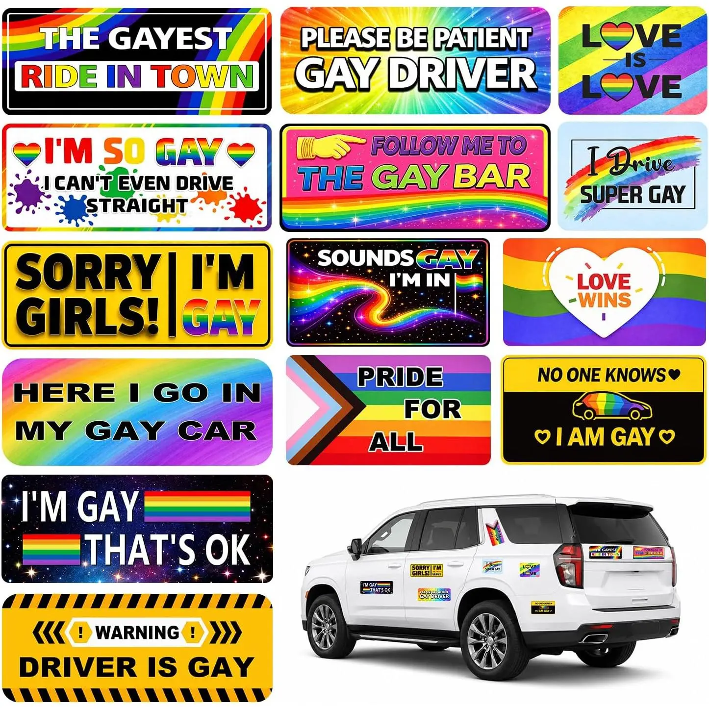 14PCS Funny LGBT Car Magnets Set, Gay Pride Rainbow Magnetic Bumper Stickers, Waterproof Prank Magnetic Sign Car Decals for Vehicles, Trucks, Fridge, LGBT Pride Gifts Accessories