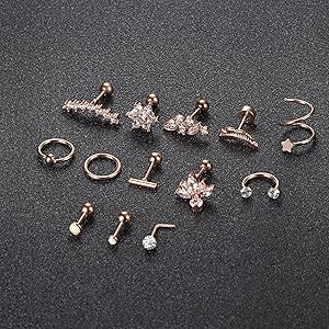 16Pcs Mixed 16G-20G Stainless Steel Cartilage Earring Set | Silver | Gold & Rose Gold Piercing Kit | Helix, Rook, Conch, Tragus & L-Shaped Nose Rings | Hypoallergenic Body Jewelry for Women