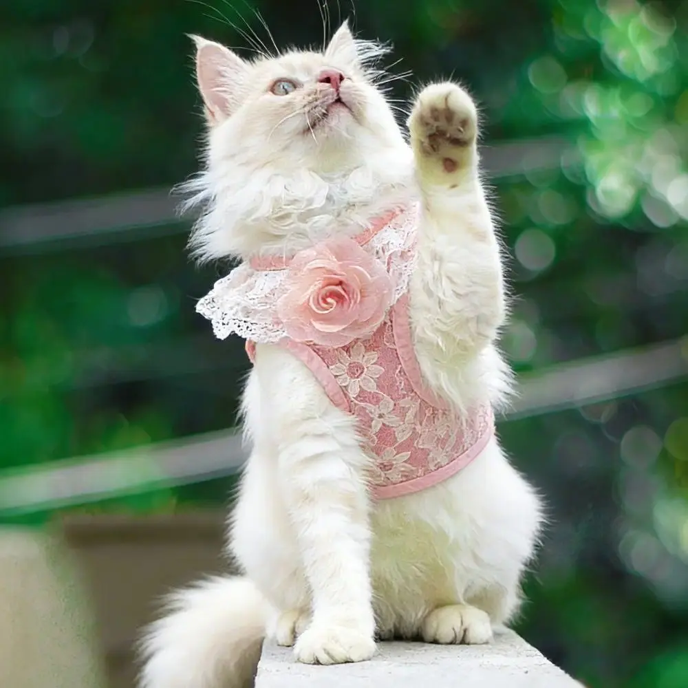 Cute Pink Lace Pet Harness and Leash Set – Floral Vest-Style Adjustable Dog & Cat Harness with Soft Breathable Fabric, Lightweight No-Pull Walking Vest Harness for Small Dogs, Puppies & Kittens, Elegant Bow Design Pet Outfit for Daily Walks, Training & Ou