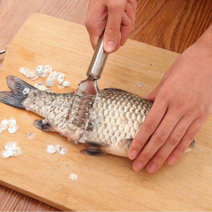 Fish Scale Remover, 2PCS Stainless Steel Fish Scaler Tool with Sawtooth Edge for Kitchen, Cooking & Outdoor Use