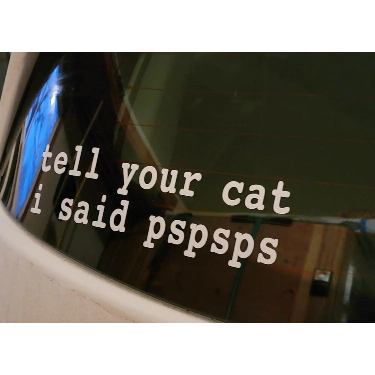 Tell Your Cat I Said Pspsps Car Sticker, 9in - Car Bumper, Window, Truck, Yeti Cup Decal Laptop Wall (B)