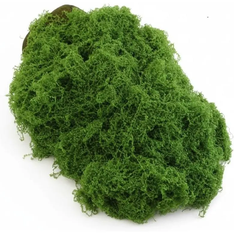 Simulated Moss Forest Colored Filamentous Artificial Grass for Landscape Production Mural Art Easter DIY Crafts Artificial Green Plant Decoration (Grass Green 3.5oz)