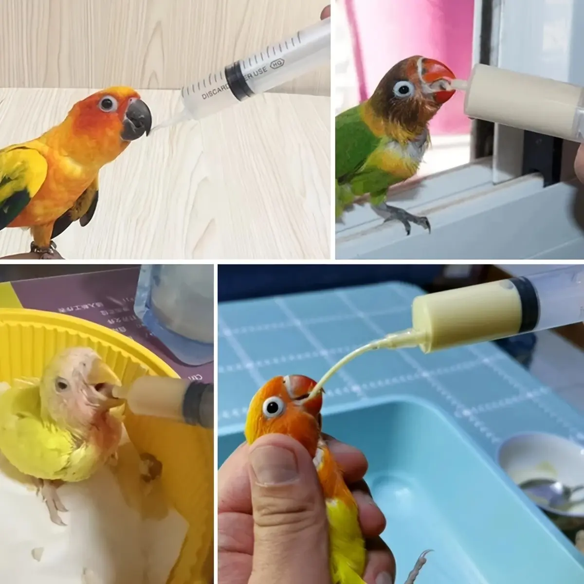 Pet Feeding Syringe Set for Birds, Bird Feeding Tool, Manual Feeder Tube for Baby Parrots, Suitable for Small Animals Like Chicks and Kittens, Multiple Models Available, Bird Supplies