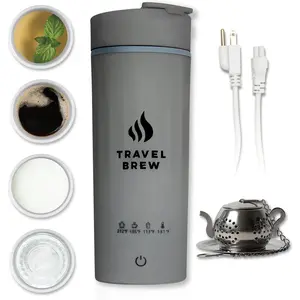 Portable Travel Kettle with Tea Infuser- Mini Electric Kettle with 4 Temperature Settings, with Auto Shut-Off & Boil Dry Protection (Gray)